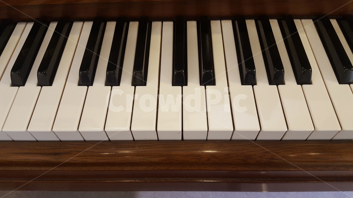 피아노,건반,음악,실용음악,악기,연주,음악회,악기,음향기기,musical instrument,musical equipment
