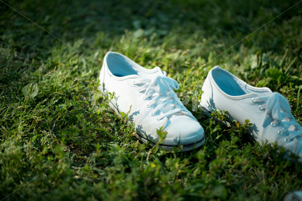 흰운동화,풀밭,여름,싱그러움,sneakers,grass,summer,fresh,패션스타일,의상,fashion,style,감성,sensible,feeling,사물,물건,오브젝트,thing,object,matter