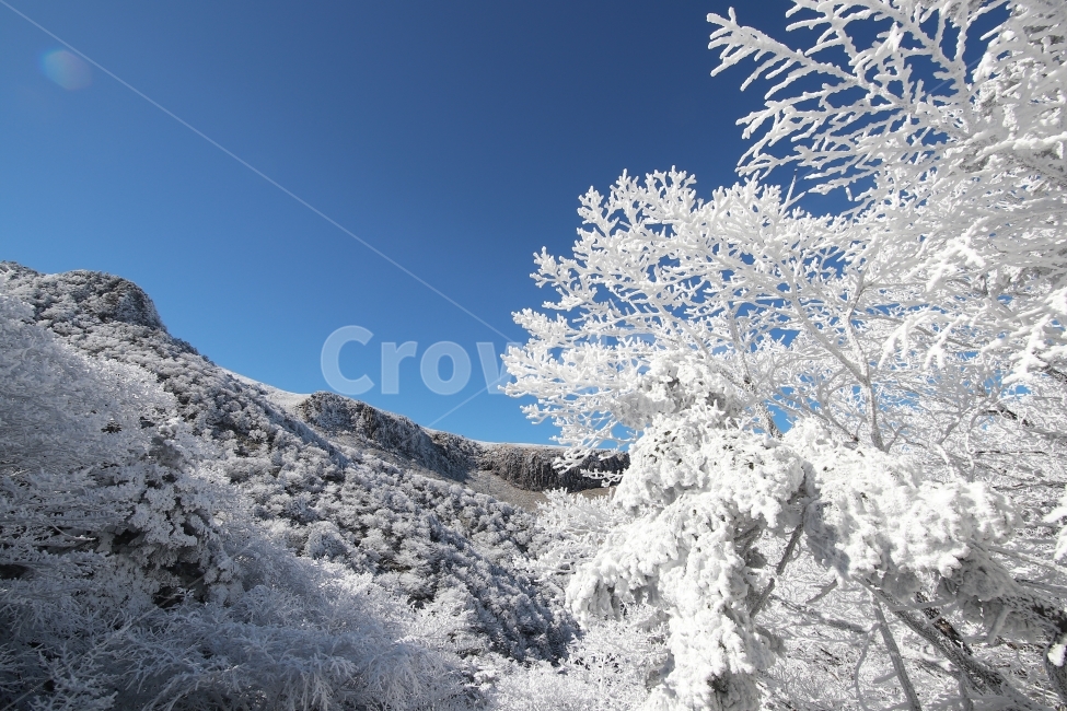 한라산,상고대,설산,겨울,겨울산행,눈꽃,진달래대피소,성판악,관음사,제주도,제주,백록담,겨울,계절,winter,season,자연,풍경,nature,landscape,한국자연풍경,한국자연경관,korea nature landscape,제주도,jeju,jeju island,outdoors,옥외,ice,얼음,snow,눈