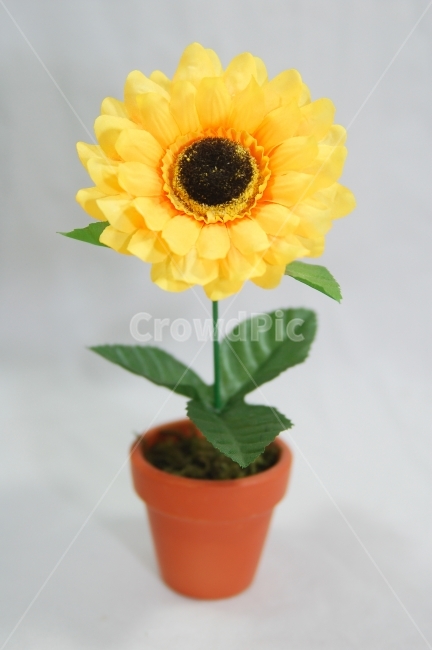화분,조화,소품,디스플레이,해바라기,꽃,오브젝트,누끼,식물,장식품,꽃,flower,인테리어,실내디자인,interior design,사물,물건,오브젝트,thing,object,matter