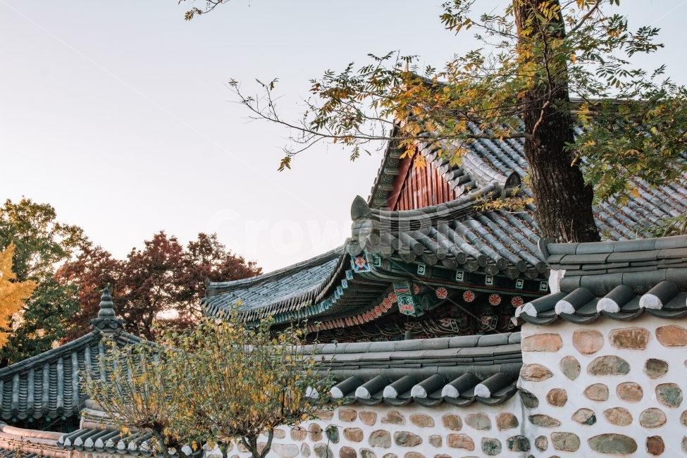 진주성,전통,한국적,기와,분위기,나무,풍경,한국풍경,기와집,korea,koreatraditional,한국전통,한국문화,korean traditional,korean culture,건축물,건물외관,exterior,building,structure,architecture,construction