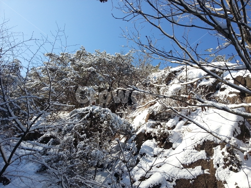 눈,눈꽃,설산,설경,겨울산,겨울,계절,winter,season,자연,풍경,nature,landscape