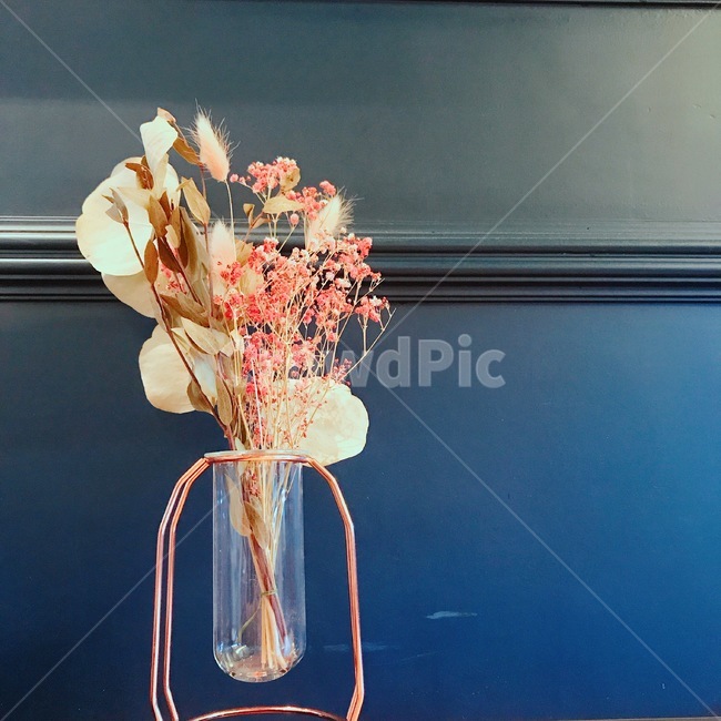드라이플라워,꽃,안개꽃,꽃장식,dryflower,flower,pinkflower,babysbreath