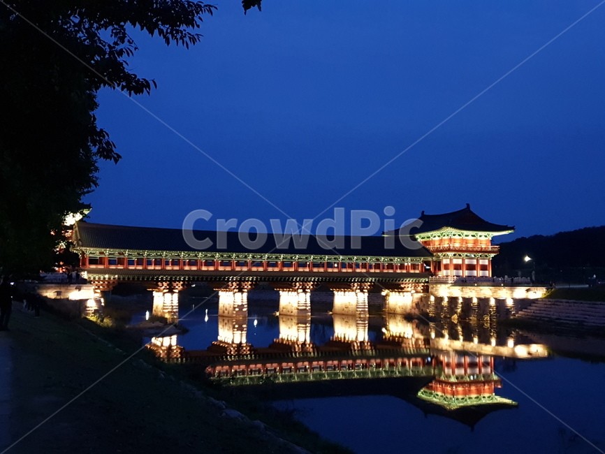 architecture,건축물,building,temple,신전,경주,야경,월정교,야경,밤,풍경,nightscape,night,landscape
