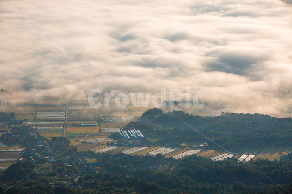 운해,들판,아침들판,안개,가을들판,자연,풍경,nature,landscape,시골,마을,country,rural,town,scenery,outdoors,옥외,경치,mountain,산,mountain range,산맥