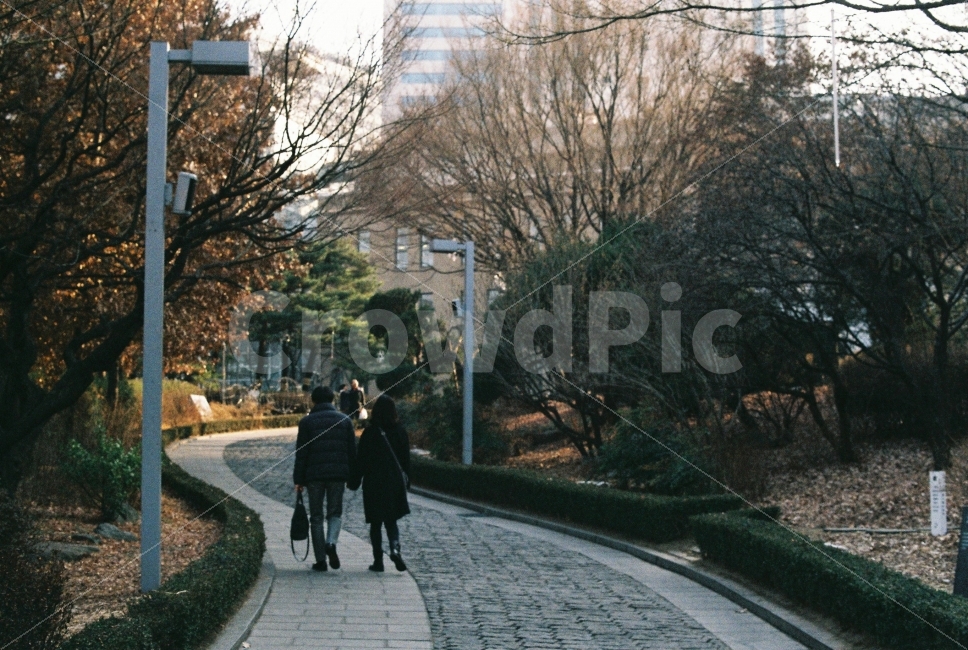 서울,서울시립미술관,커플,연인,겨울,필카,필름카메라,감성,사람,인물,인간,human,person,연인,커플,사랑,lover,couple,감성,sensible,feeling