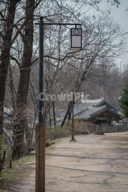 서울,경희궁,가로등,등,봄