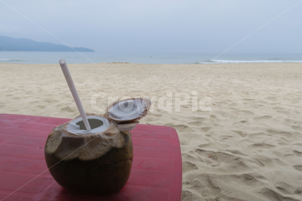 해변,코코넛,바닷가,백사장,미케비치,음료수,drink,beverage