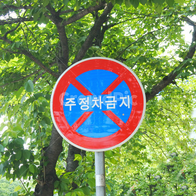 표지판,교통,교통표지판,경고,한국,알림,sign