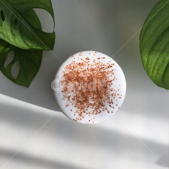 plant,식물,leaf,잎,coffee,커피,시나몬라떼,latte,라떼,음료수,drink,beverage,커피,카페,coffee,cafe