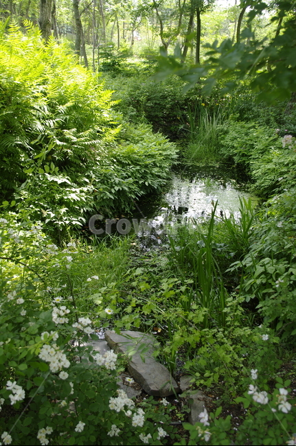 초록,나무,잎,꽃,flower,식물,plant,계절,봄,spring,숲,자연,풍경,nature,landscape,land,땅,outdoors,옥외,vegetation,초목,water,물