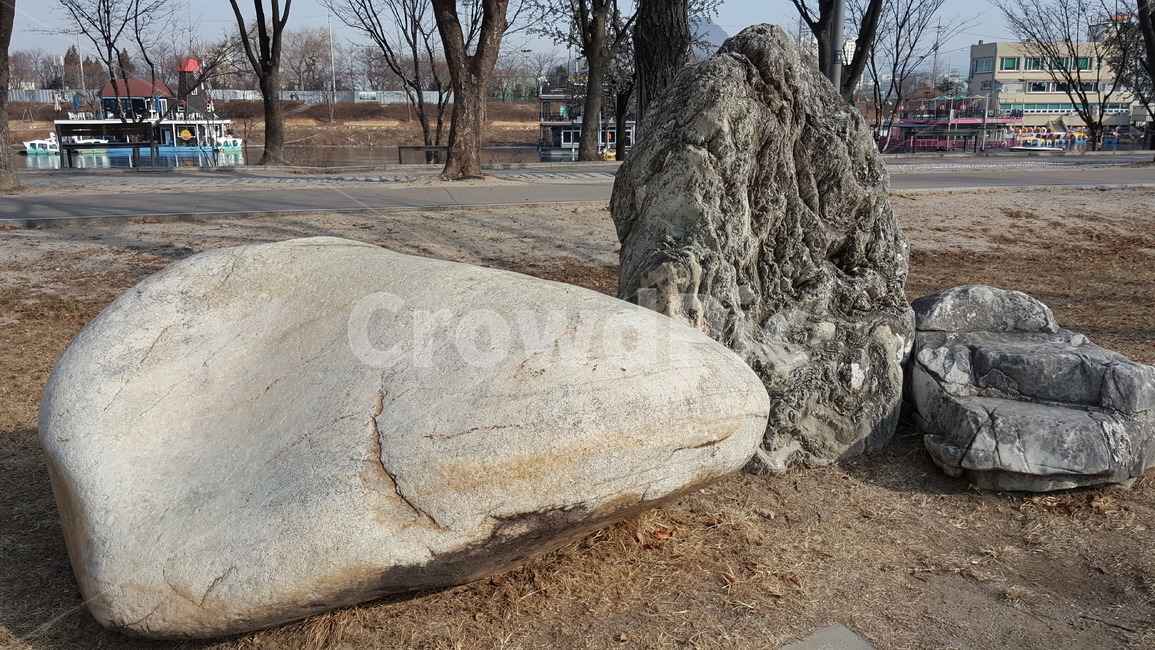 공원,조경,나무,풍경,자연,공원풍경,겨울공원,겨울나무