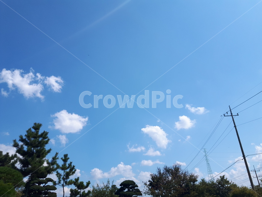 하늘,나무,햇살,구름,sky,tree,cloud