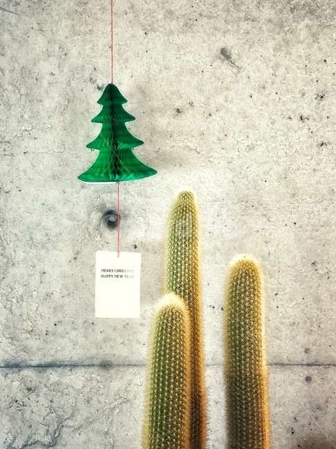 크리스마스,트리,선인장,인테리어,콘크리트벽,정물,메모,tag,Christmastree,cactus,식물,자연,plants,nature,인테리어,실내디자인,interior design