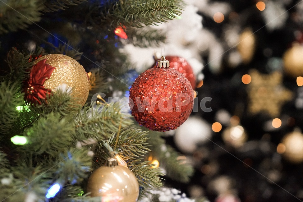 트리,크리스마스,겨울,tree,성탄절,겨울,계절,winter,season,메리크리스마스,성탄절,merry christmas