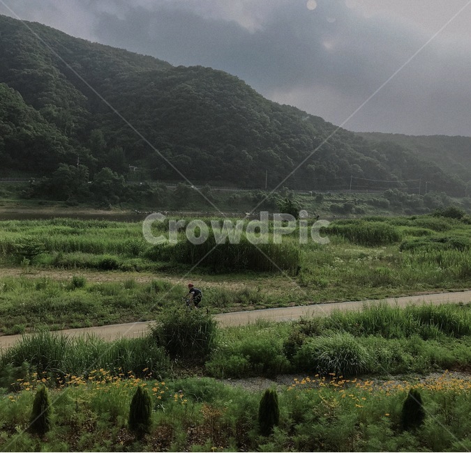이슬,nature,자연,산,금강,자연,풍경,nature,landscape