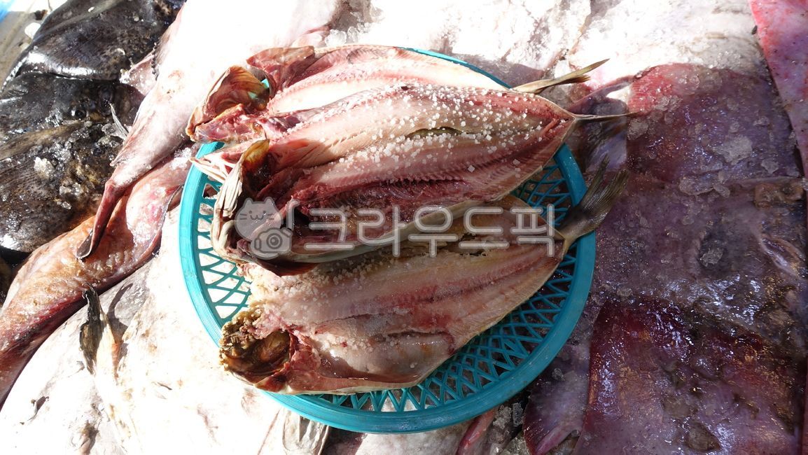 생선,해양생물,이면수,이면수저림,먹거리,반찬거리,바다생물,음식