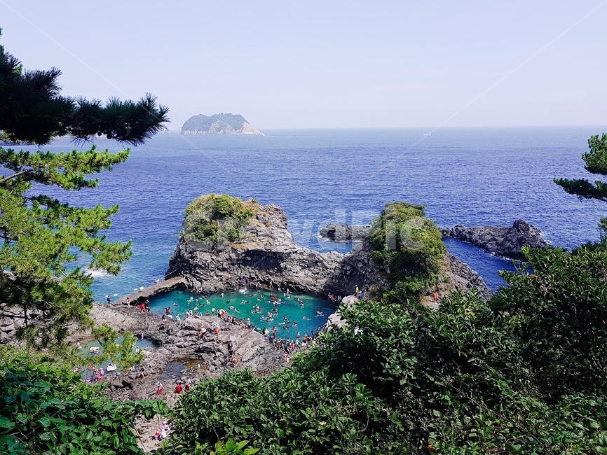 제주도,풍경,자연,힐링,감성