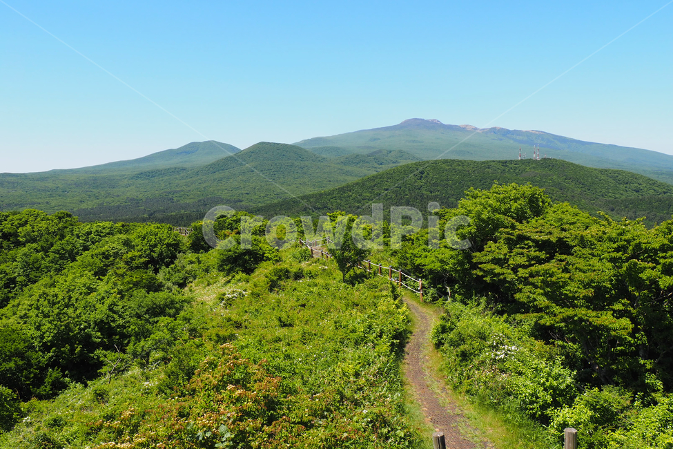 한라산,오름,mountain,wild,야생,자연,nature,오솔길,path,road,trail,통로