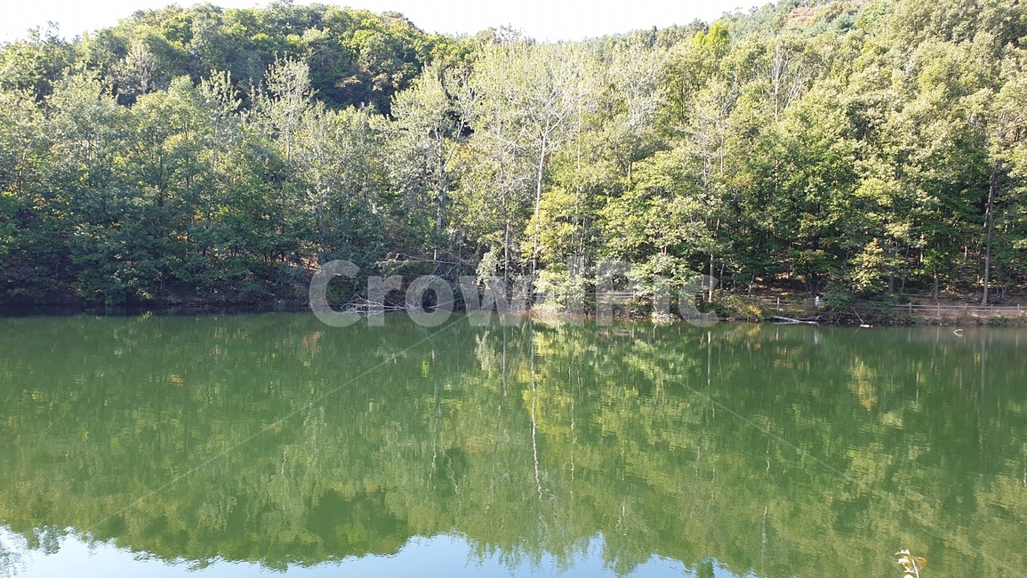 파주,마장호수,호수,둘레길,nature,outdoors,water,lake