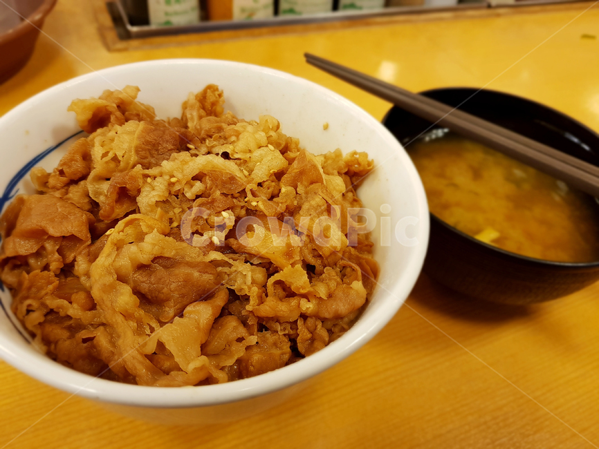 규동,쇠고기덮밥,음식,일본,오사카,japan,牛丼,ぎゅうどん,gyudon