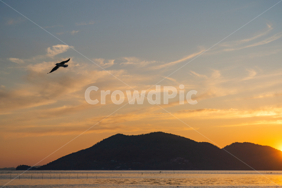 일몰,sunset,새,bird,바다,구름,cloud,붉은노을,redsky,nature,자연,자연,풍경,nature,landscape
