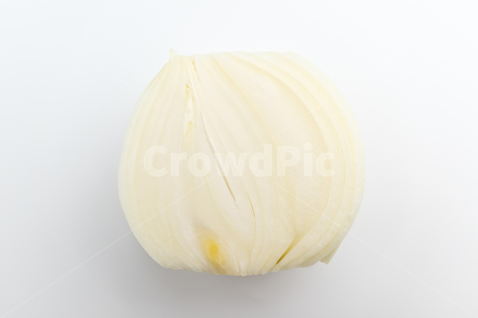 양파,생양파,채소,뿌리,식물,구근식물,야채,건강한,음식,날것,재료,식재료,음식재료,양념,클로즈업,신선한,식품,잘익은,매운,하얀색,향,채식,식용