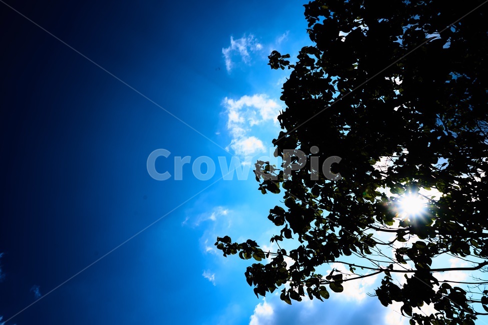 하늘,역광,대비,배경화면,감성,자연,풍경,nature,landscape,light,빛,flare,플레어,sunlight,햇빛