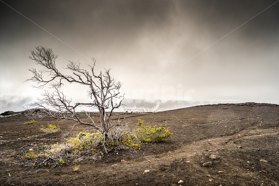 볼케이노,볼케이노국립공원,하와이,volcanonationalpark,hawaii,자연,풍경,nature,landscape,해외,외국,세계,foreign,oversea,world,세계자연풍경,해외자연풍경,외국자연풍경,world nature landscape,ground,바닥,dirt road,흙길,gravel,자갈,road,도로