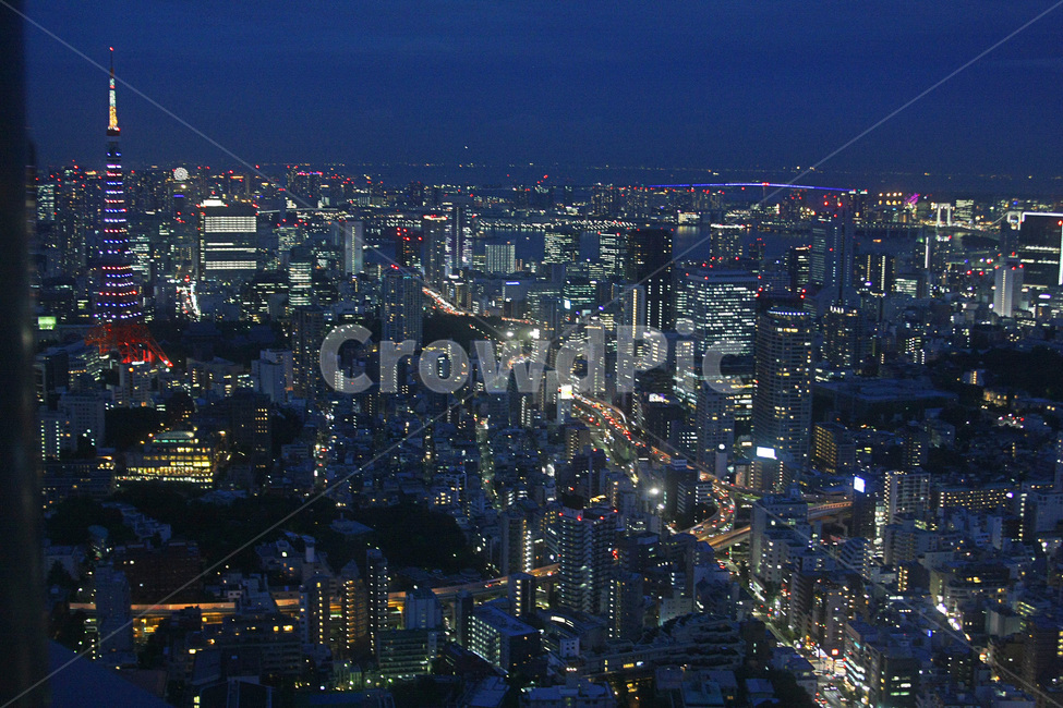 도쿄,일본,모리타워,야경,도쿄타워,도쿄야경,일본야경,감성,야경,밤,풍경,nightscape,night,landscape,도시,city,해외,외국,세계,foreign,oversea,world,세계도시풍경,해외도시풍경,외국도시풍경,world cityscape,nature,자연,outdoors,옥외,경치,scenery,aerial view,조감도