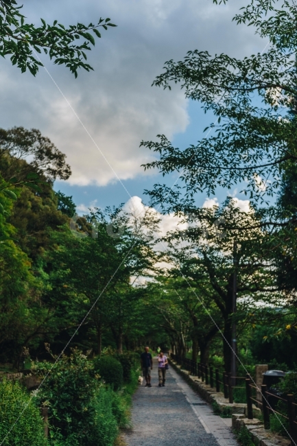일본,교토,철학의길,데쓰가쿠노미치,哲学の道,여행,일본거리,거리,일본여행,여행지,관광지,산책로,japan,kyoto,travel,touristspots,street,산책,부부,사람,인물,인간,human,person,휴식,힐링,rest,relaxation,healing