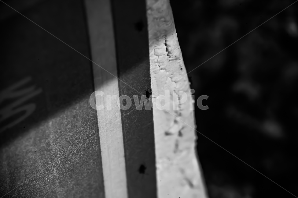 흑백,흑백사진,감성사진,빈티지느낌,빈티지감성,벌레,그림자,흑백,모노톤,monochrome,black and white