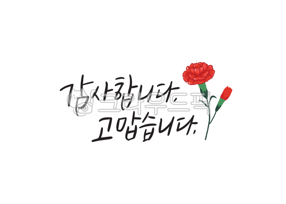 어버이날,캘리그라피,어버이날캘리,어린이집,유치원,사랑합니다,감사합니다,꽃,카네이션
