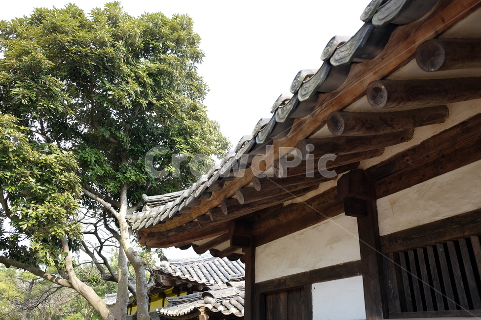 기와,전통,한국,제주,민속촌,자연,전통적인,한국적인,오래된,한국전통,한국문화,korean traditional,korean culture,건축물,건물외관,exterior,building,structure,architecture,construction