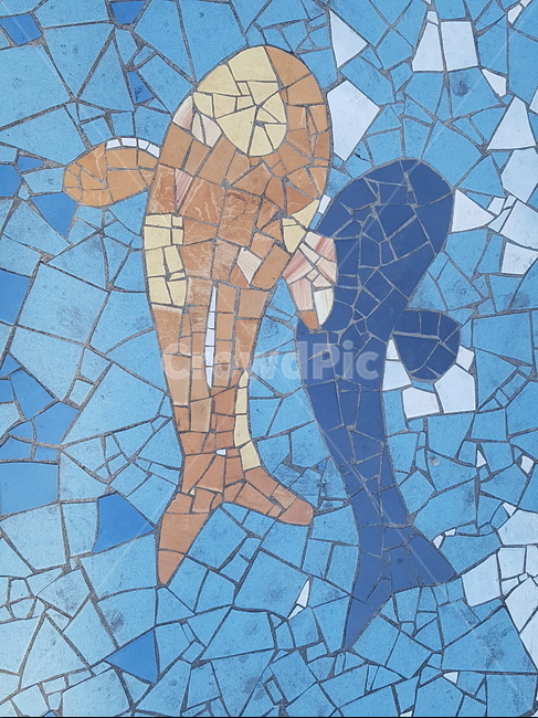 물고기,바닥,모자이크,타일,생선,예술,art