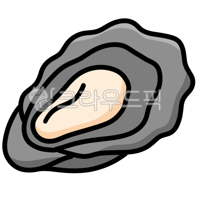 Shell,Shell illustration,Oyster,Marine life,Sea shell