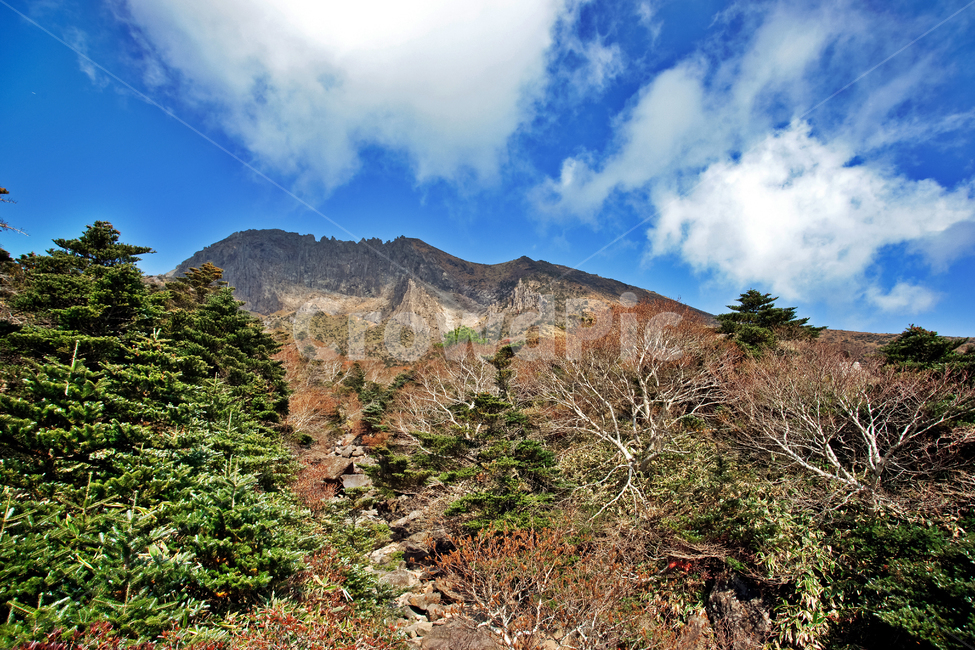 남벽,한라산,제주도,국립공원,돈내코코스,기암절벽,푸른하늘,관목,흰구름,자연,구상나무,제주도,jeju,jeju island,nature,outdoors,옥외