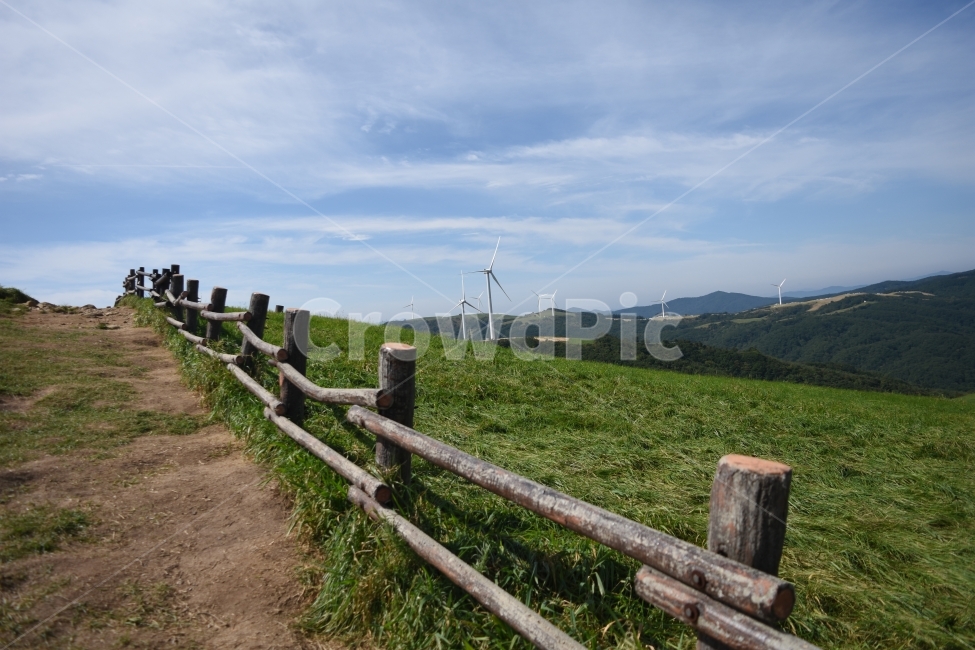 강원도,목장,힐링,산책,초록색,자연,풍경,nature,landscape,한국자연풍경,한국자연경관,korea nature landscape