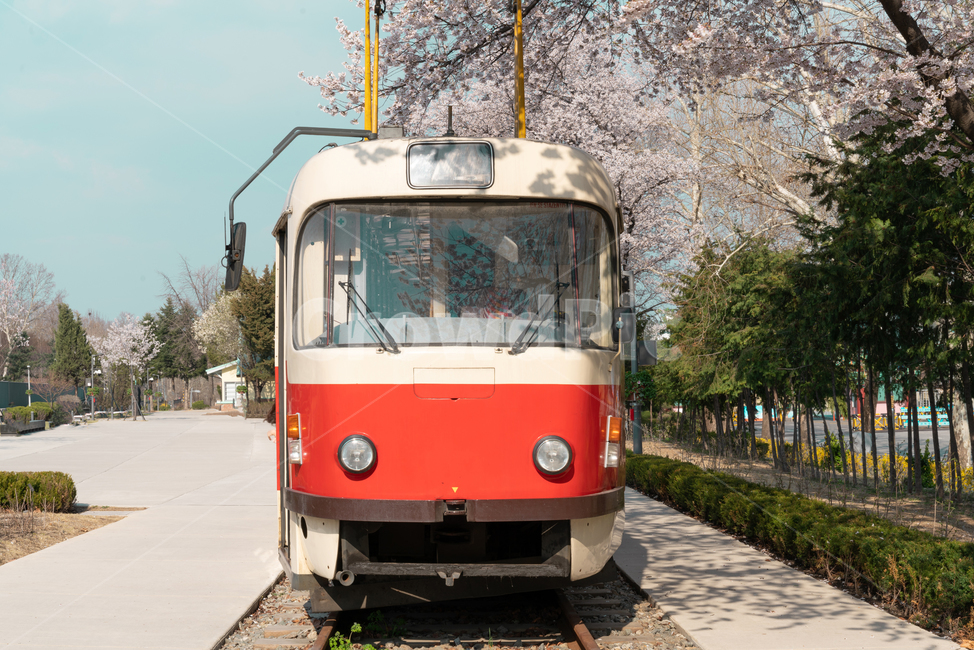 기차,열차,교통,트램,기차역,빈티지,화랑대,화랑대역,봄,train,transportation,tram,station,vintage,복고,교통,교통수단,traffic,transportation