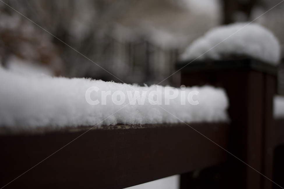 겨울,눈,아웃포커싱,winter,snow,겨울,계절,winter,season