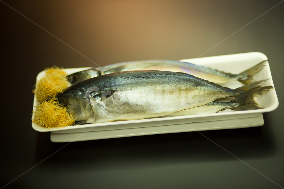 식품,음식,고등어,요리재료,고등어요리,음식재료,음식,식재료,요리,food,cook,meal,dishes,food reserves,수산물,해산물,fishery products,seafood