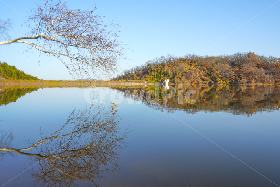 호수,가을,반영,투영,풍경,계절,단풍,나무,숲,가을,계절,fall,autumn,season,자연,풍경,nature,landscape,water,물,outdoors,옥외,land,땅