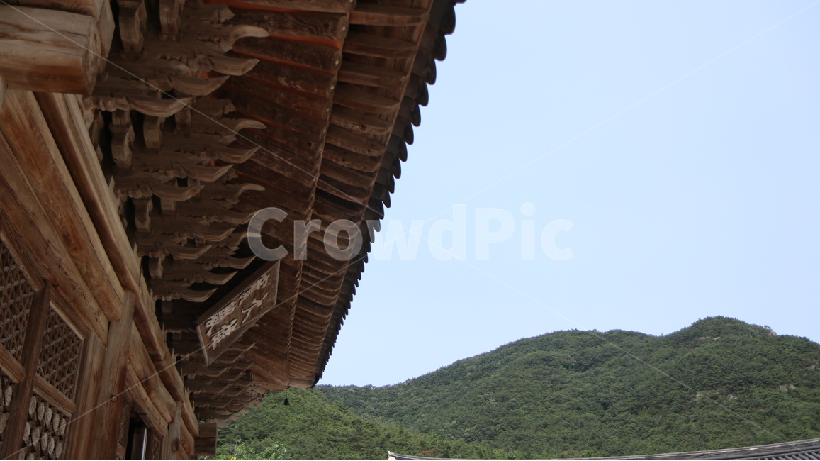 옥외,outdoors,지붕,처마,기와,한국전통,한국문화,korean traditional,korean culture