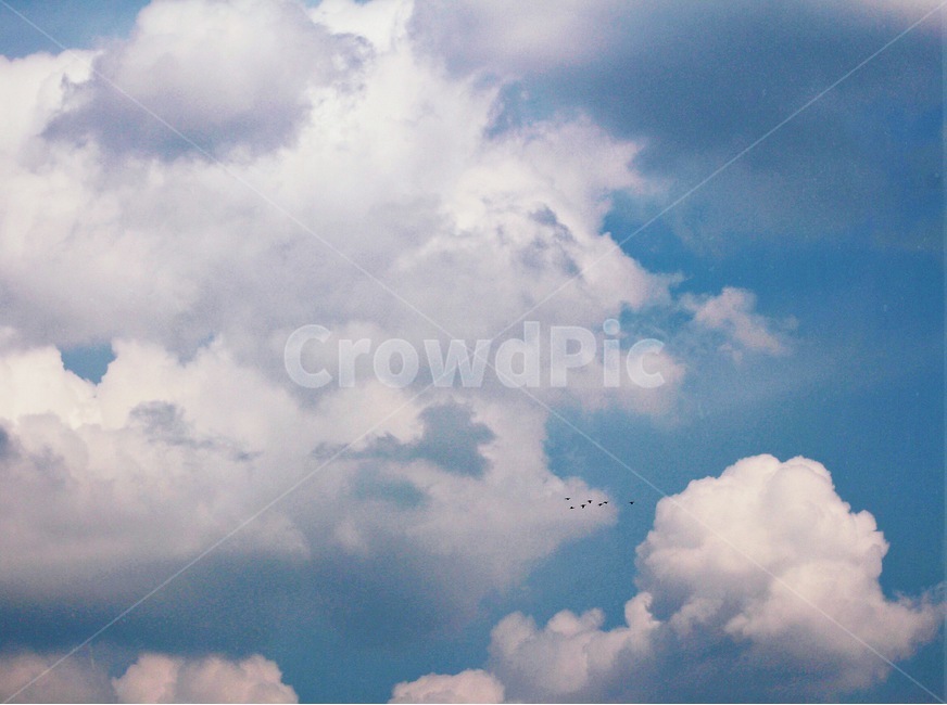 구름,하늘,새,sky,cloud,자연,풍경,nature,landscape,감성,sensible,feeling,weather,날씨,outdoors,옥외,cumulus,적운