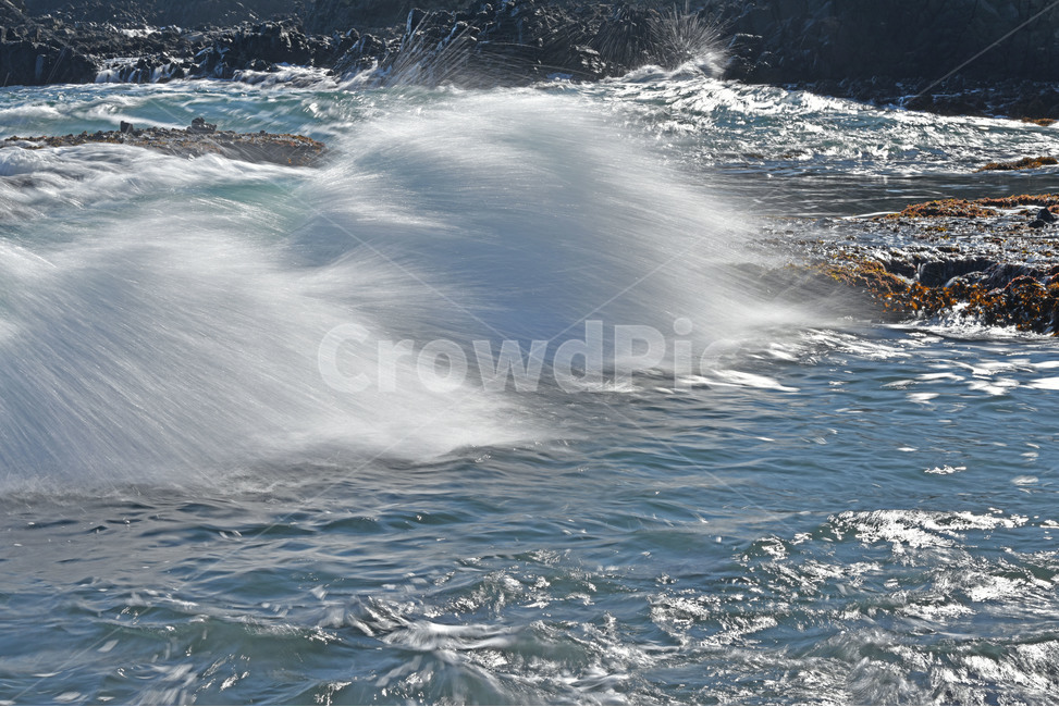 sea,바다,nature,파도,해변,밀물,windwave,해변,바다,beach,sea