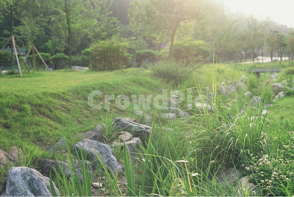 필름카메라,자연,필름,풀,감성사진,측광,자연,풍경,nature,landscape,휴식,힐링,rest,relaxation,healing,grass,잔디,plant,식물,land,땅,outdoors,옥외