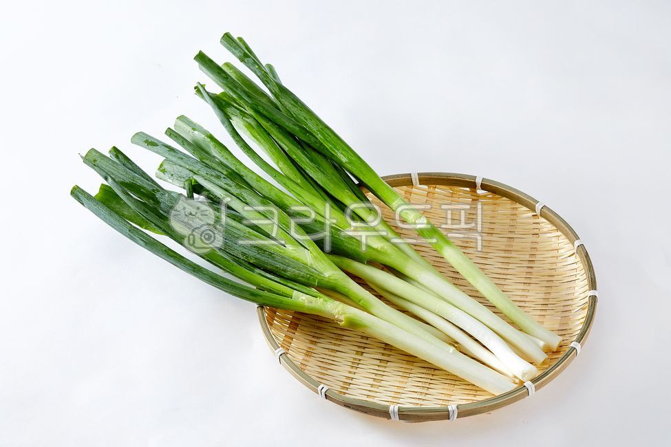 대파, 파, 채소, 야채, 농작물, 사진,이미지,일러스트,캘리그라피 - 포토비작가