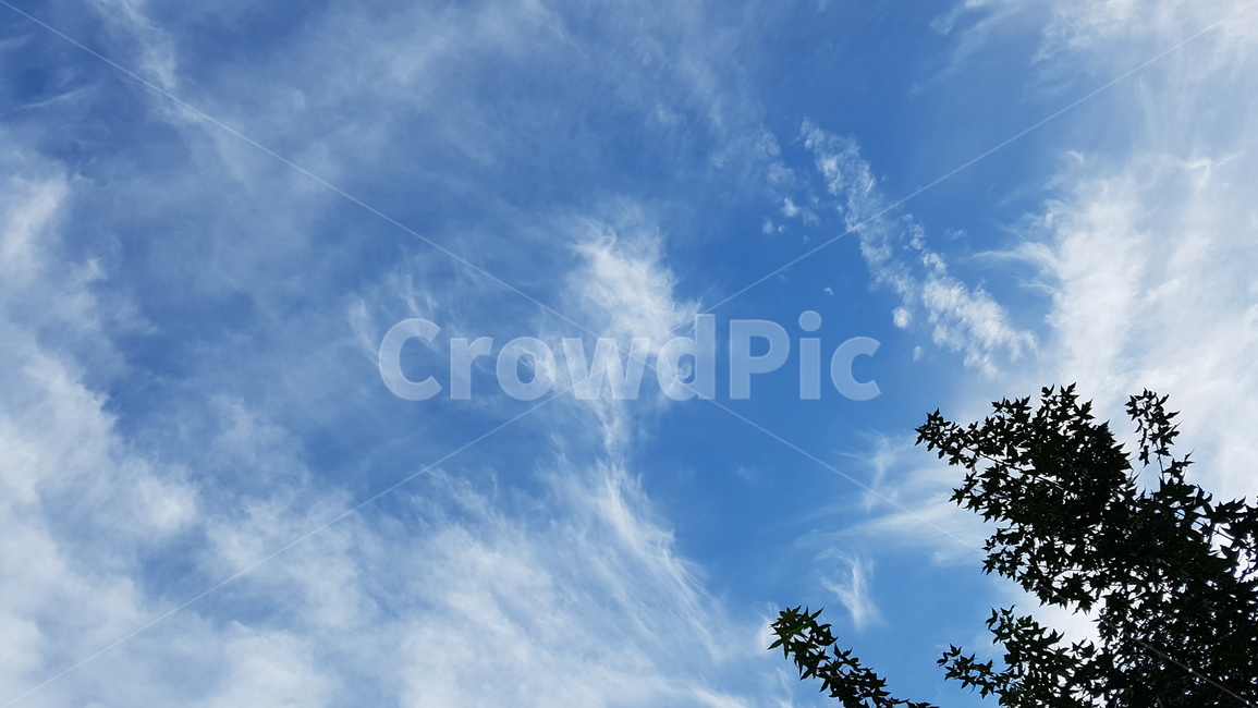 하늘,구름,풍경,자연,자유,겨울,자연,풍경,nature,landscape,outdoors,옥외,sky,azure sky,푸른 하늘