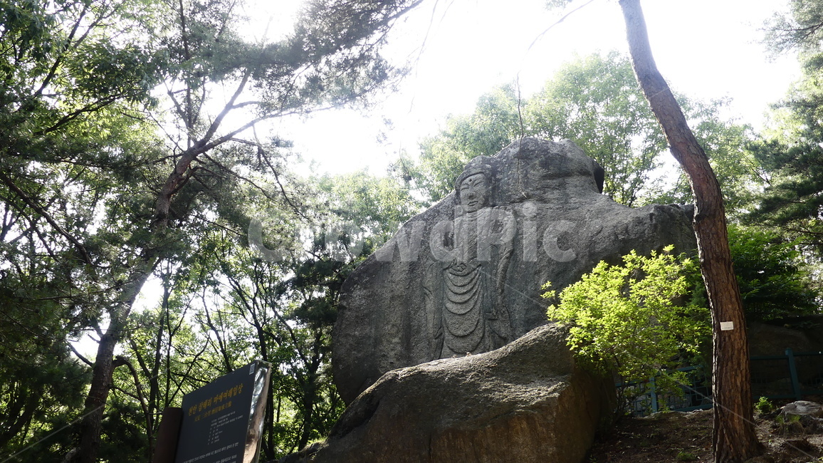 불상,자연휴양림,여래입상,천안,삼태리,마애여래입상,불심,종교,기도