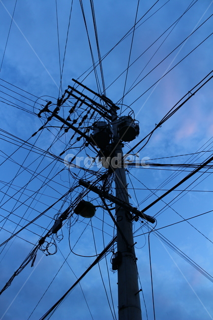 전봇대,하늘,오후,전선,풍경,에너지산업,energy industry,utility pole,전신주,cable,케이블,power lines,전력선